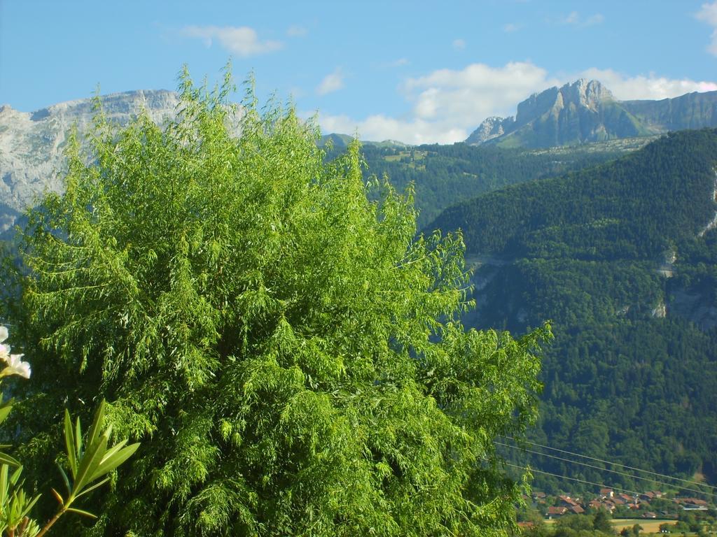Hotel Bellevue Ayse Εξωτερικό φωτογραφία